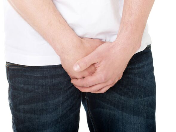 Prostatitis in humans is inflammation of the prostate glands